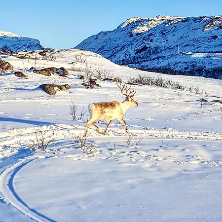 公寓 Grasbakken Panorama Varangerbotn
