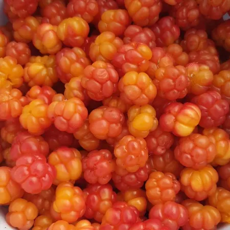 公寓 Grasbakken Panorama