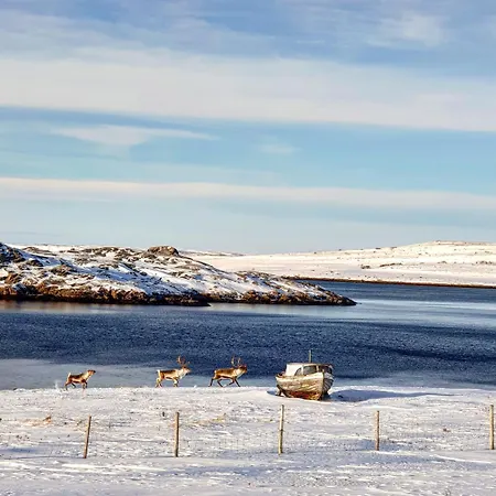Grasbakken Panorama 公寓 Varangerbotn